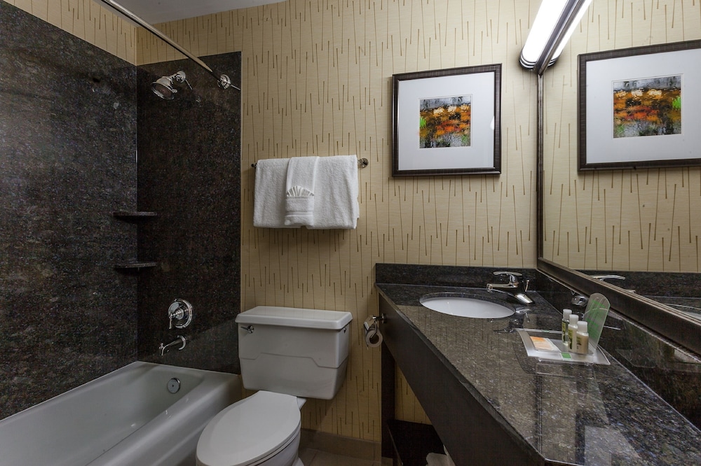 Holiday Inn Chicago North Evanston by IHG - photo 18