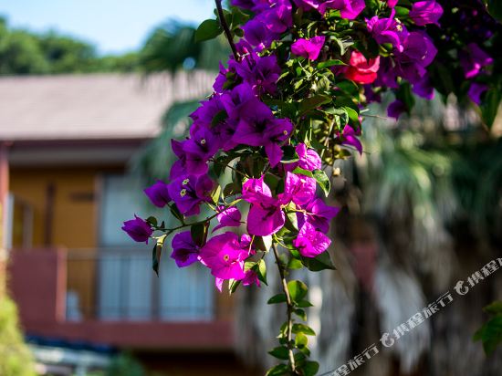 Hoyo Center Satsuma Meijimura in Tarumizu, Japan