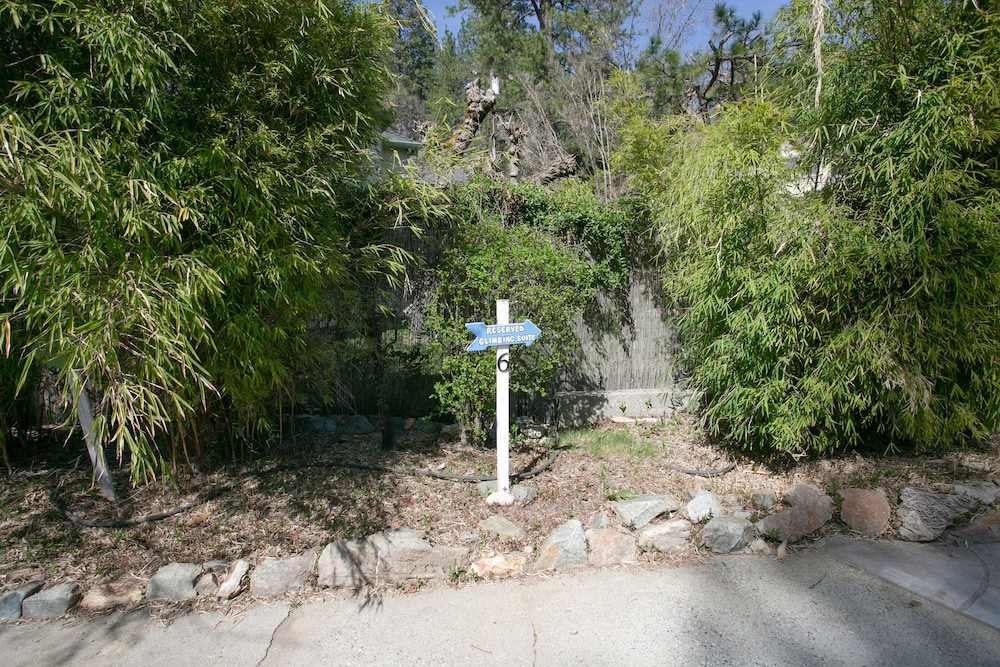 Outside Inn - photo 230