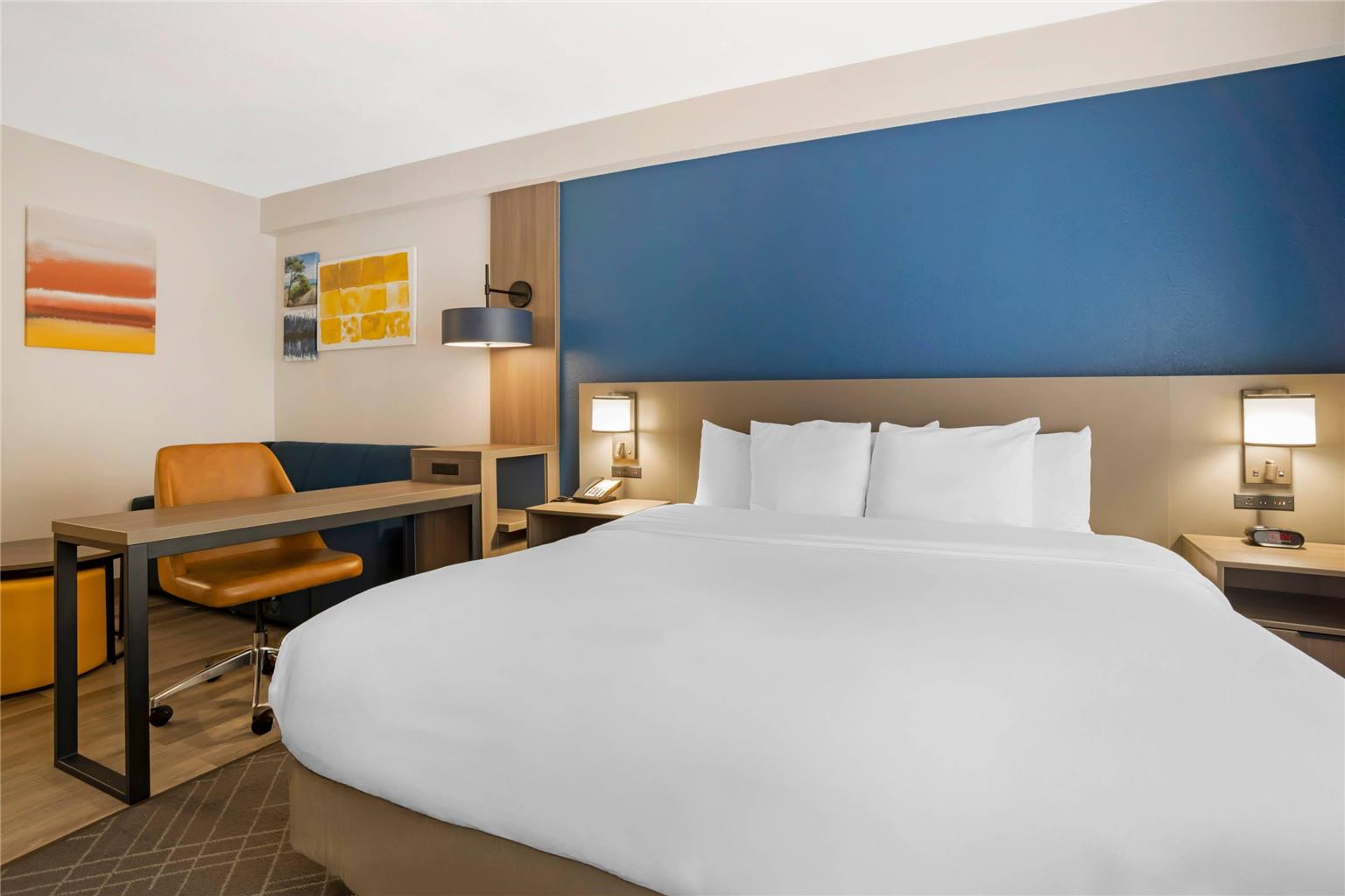 Comfort Suites Gastonia Charlotte - photo 13