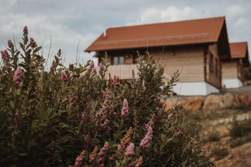 Oberwald Chalets 1 — Schotten