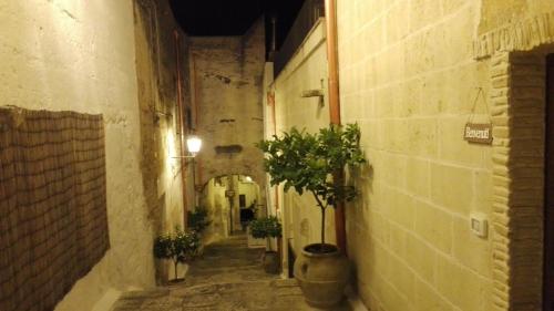 Domusfrumenti — Oria — photo 4