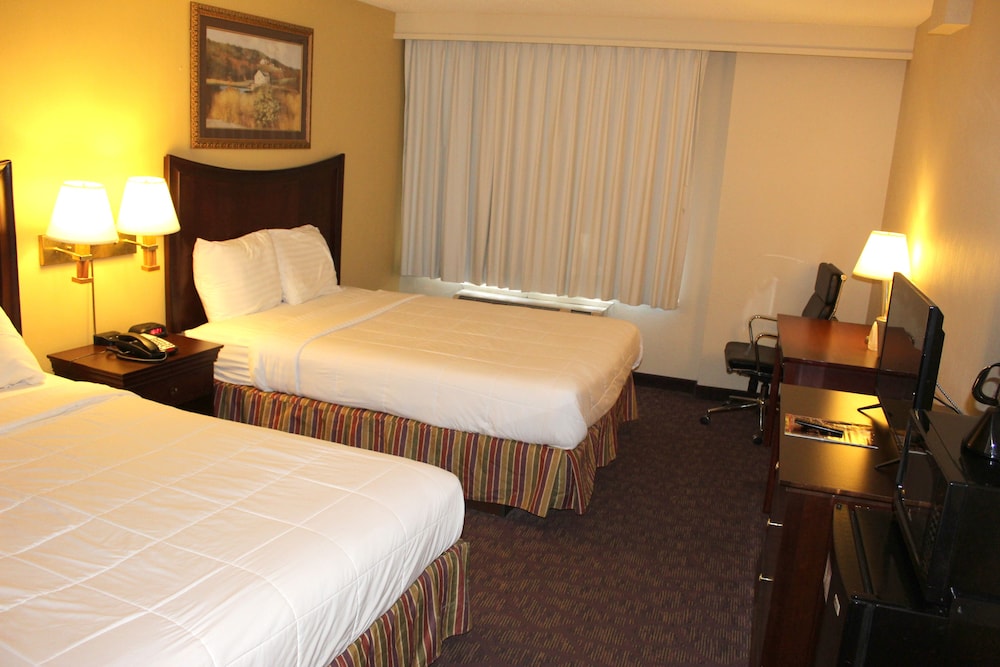 Lamplighter Inn & Suites South - photo 22
