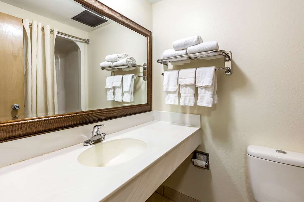 Econo Lodge Inn & Suites Fairview Heights St. Louis - photo 23