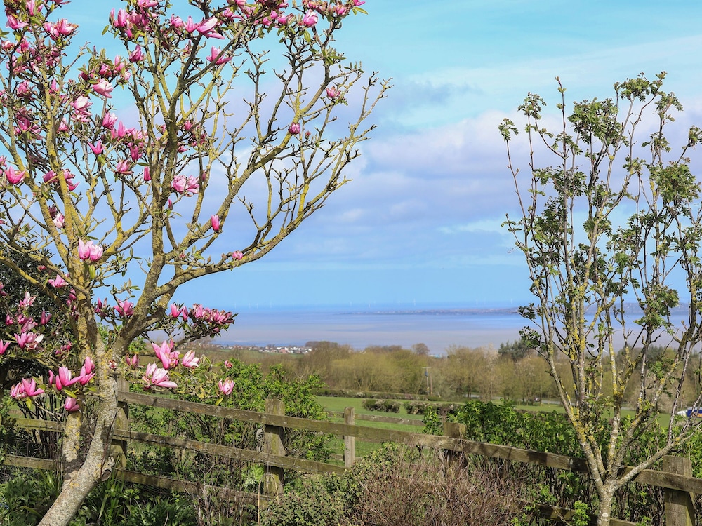 Dolphin Bach in Holywell, United Kingdom