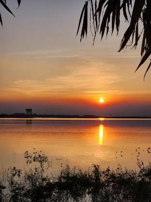 Lac Glamping Trian Lake pet-friendly hotel Vinh An