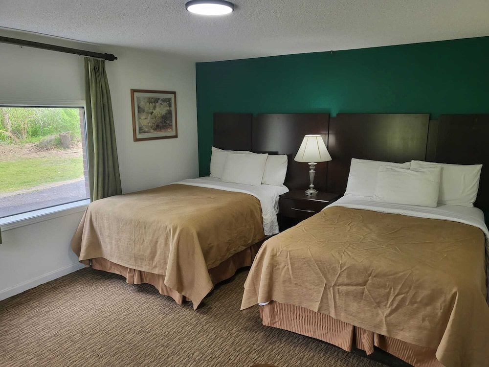 Pine Tree Inn - photo 21