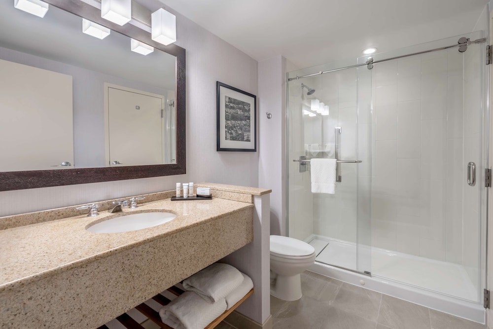 Embassy Suites Boston Logan Airport - photo 25