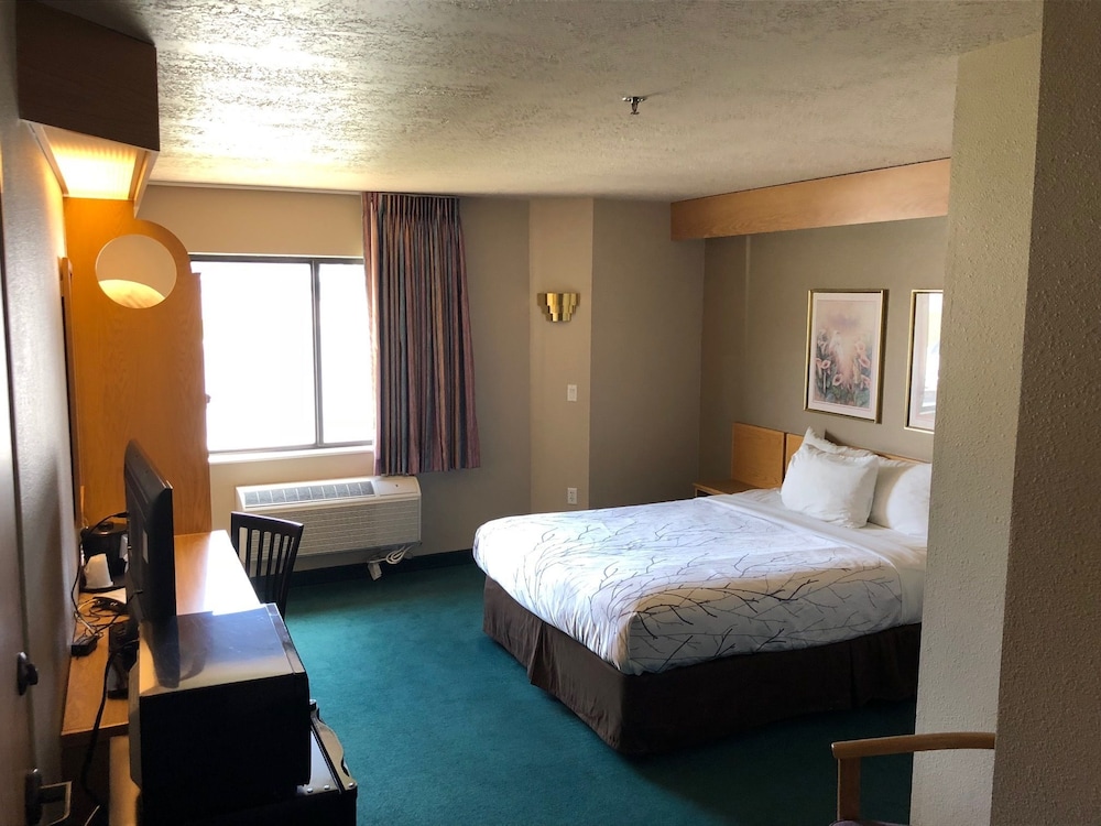 Willow Creek Inn - photo 8