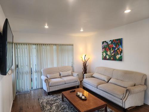 Incredible Waitakere View in Auckland, New Zealand