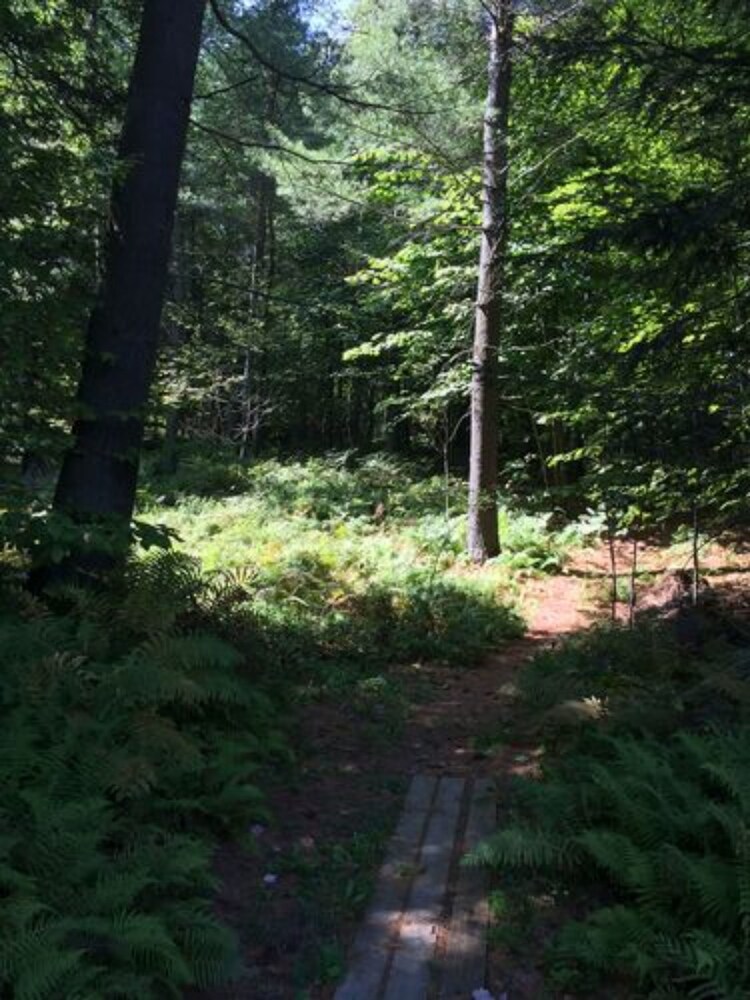 The Mountain Road Resort - photo 18