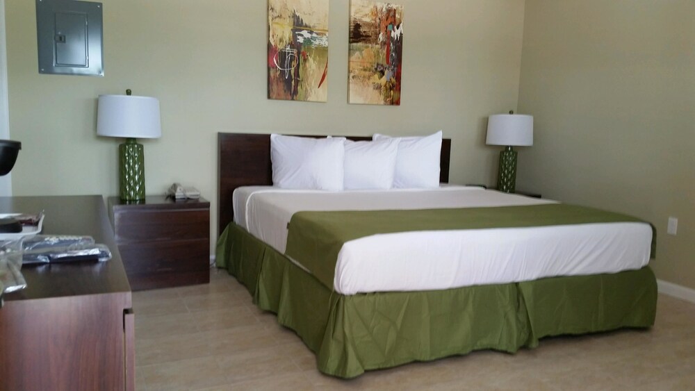 The Local St. Augustine - photo 4