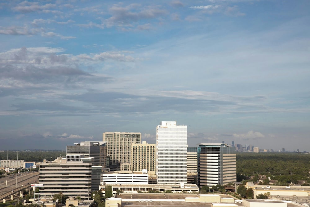 The Westin Houston Memorial City - photo 74