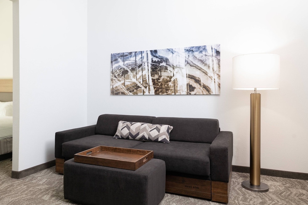 Springhill Suites by Marriott Williamsburg - photo 8
