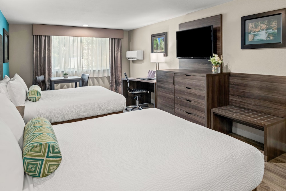 Yosemite Southgate Hotel & Suites - photo 4