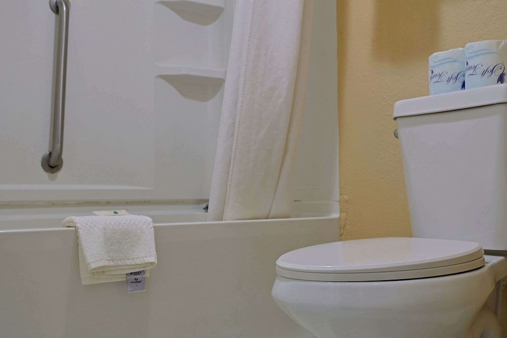 Quality Inn Kennedy Space Center - photo 44