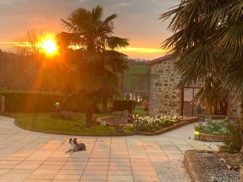 La Basse Monniere — hotel in Saint-Michel-Mont-Mercure