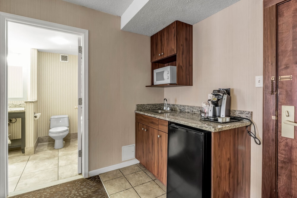 Buffalo Airport Hotel - photo 47