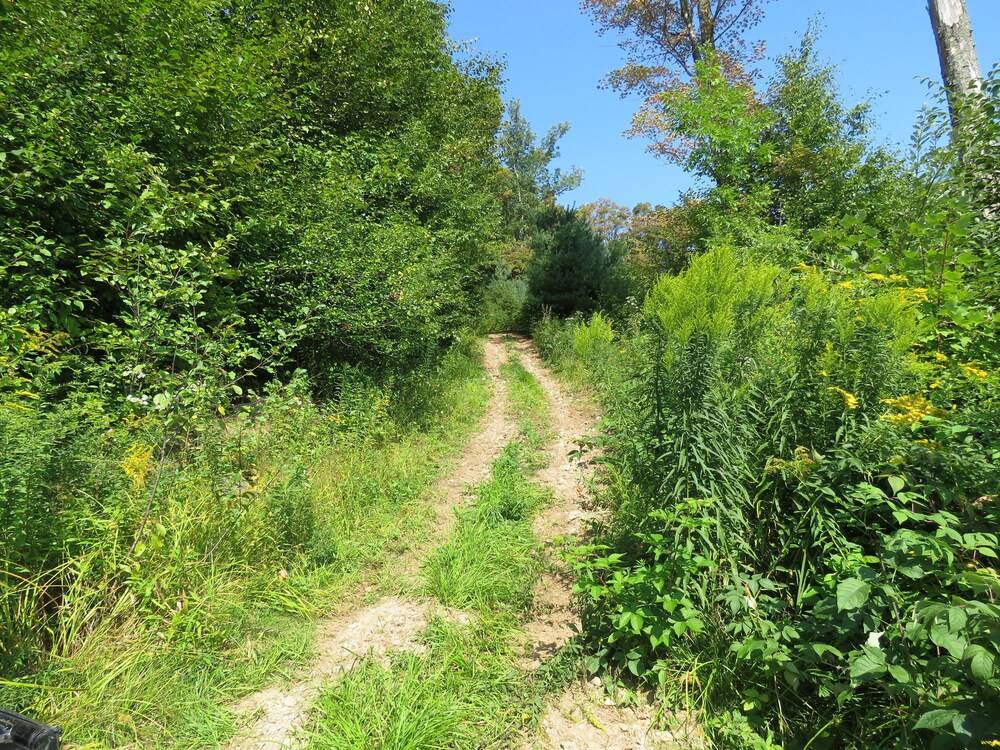 Tug Hill Resort - photo 50