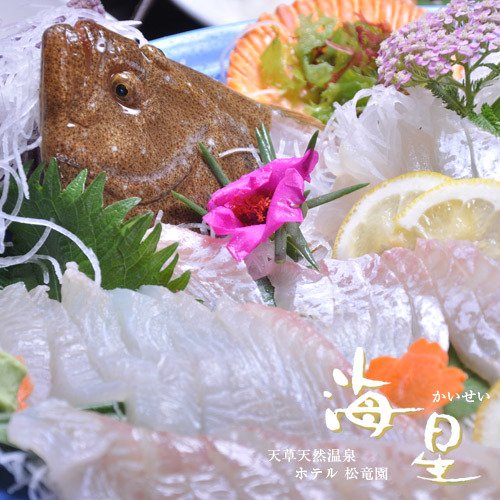 Hotel Shouryuen Kaisei in Kumamoto, Japan