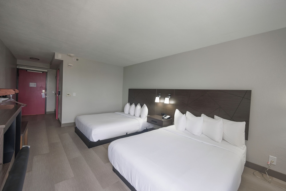 B&B Hotel Miami Airport - photo 9