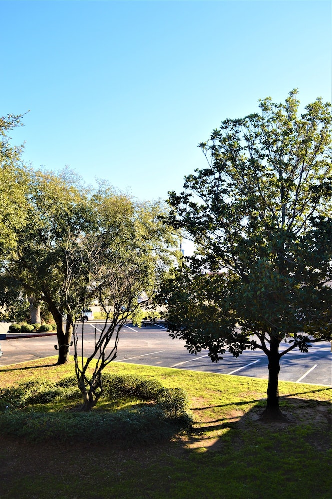 Lake View Inn - photo 24