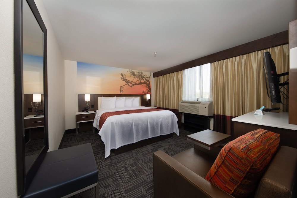 Holiday Inn Brookfield Milwaukee by IHG - photo 19
