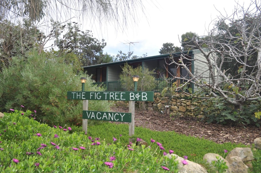 The Fig Tree B & B — 4-Star Luxury Hotel in Willoughby, Australia