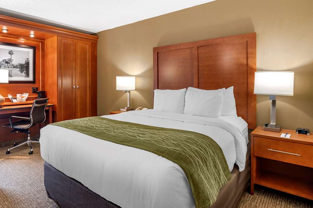 Comfort Inn Oxford University Area - photo 6