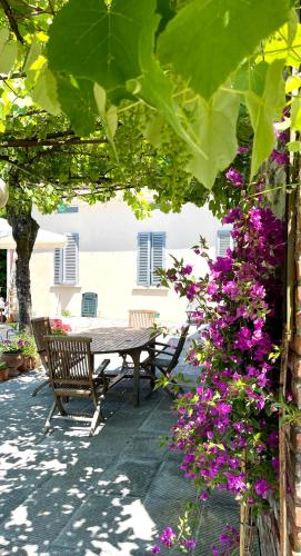 The Tuscany Rose in Pistoia, Italy