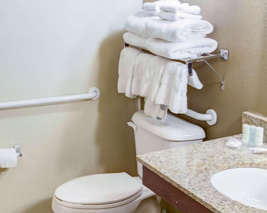 Comfort Suites Omaha Northwest - photo 8