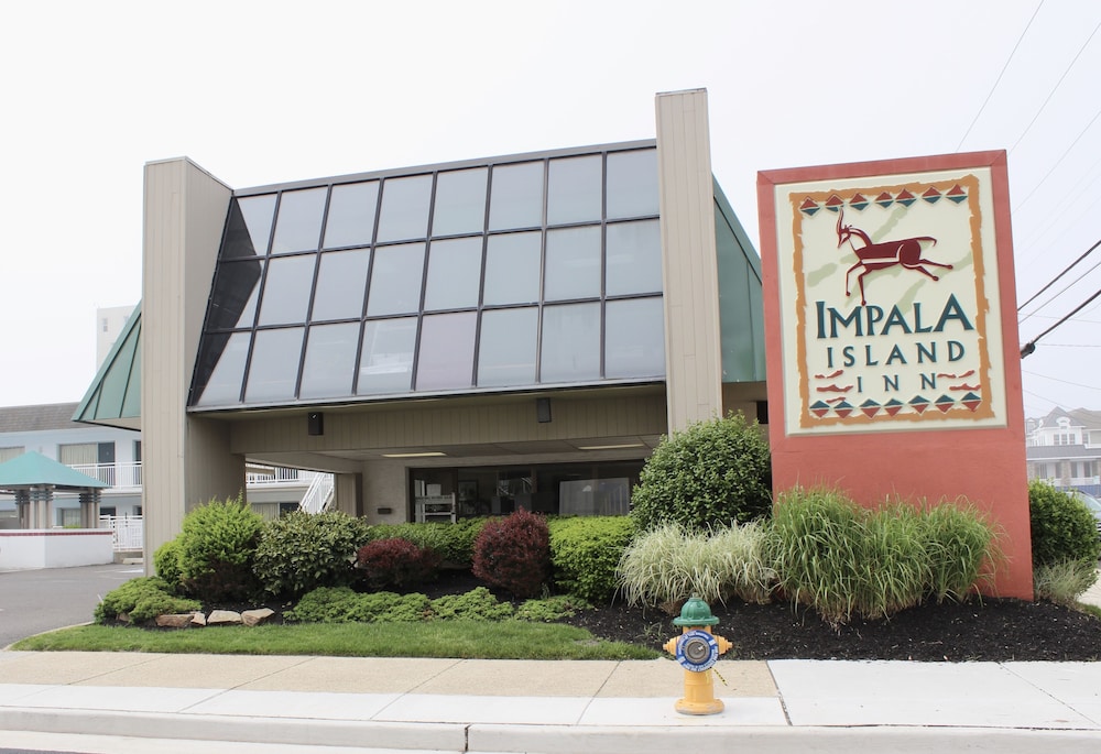 Impala Island Inn - photo 2