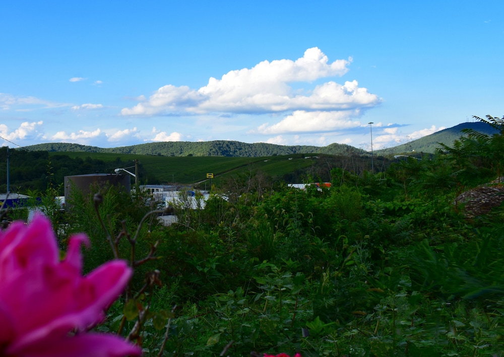 Super 8 by Wyndham Fort Chiswell Wytheville Area - photo 62