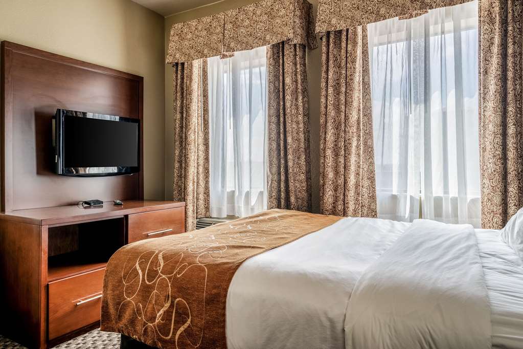 Comfort Suites Near Texas State University - photo 11