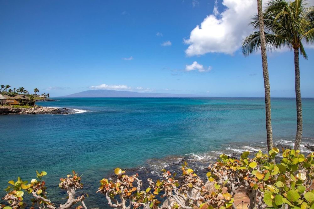 Napili Point C3 NP C3 Renovated OceanFront to Whale Watch Rela — 4-Star Luxury Hotel in Napili-Honokowai, United States