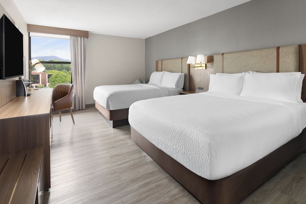 Holiday Inn Roanoke Tanglewood Rt 419&i581 by IHG - photo 7