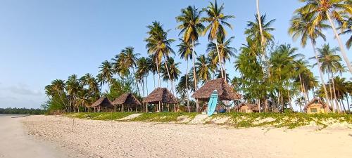 Kanga Beach Paradise in Unknown City, Tanzania