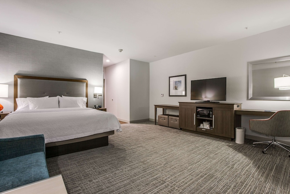 Hampton Inn & Suites North Dallas Central Expy - photo 9