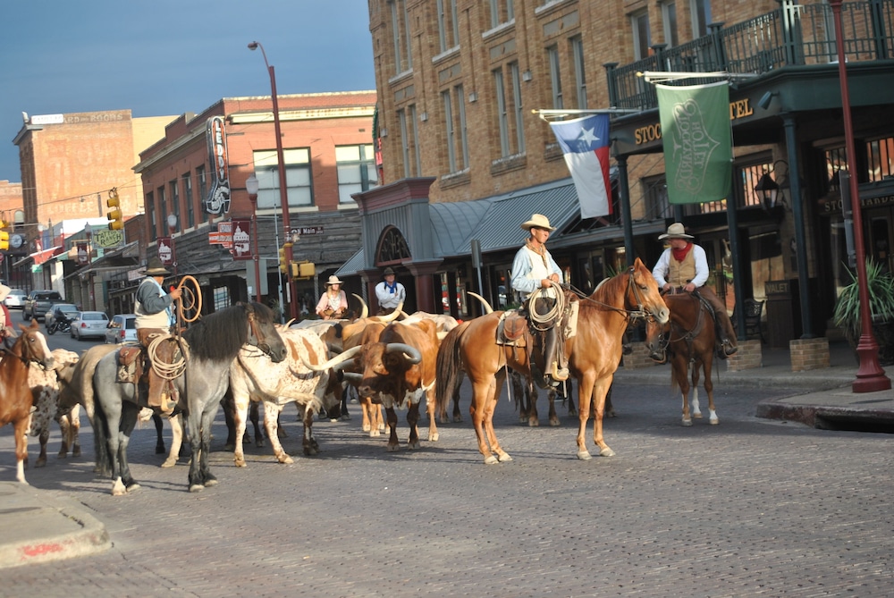 Stockyards Hotel - photo 28