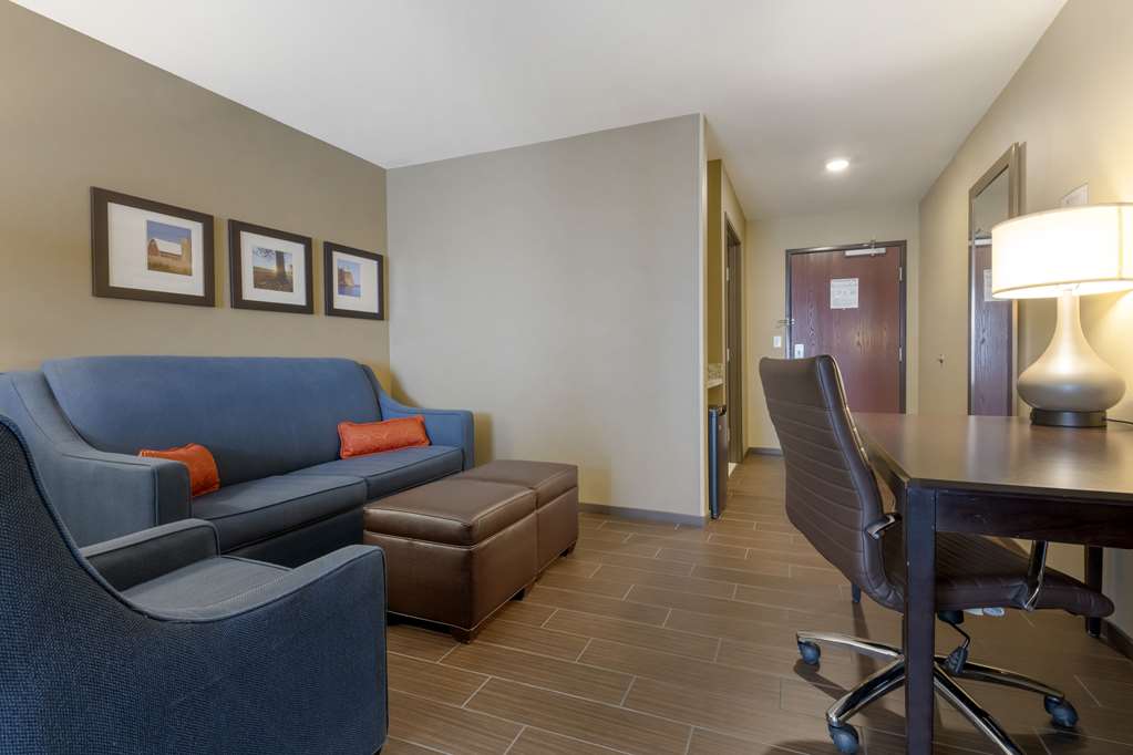 Comfort Suites and Conference Center - photo 14