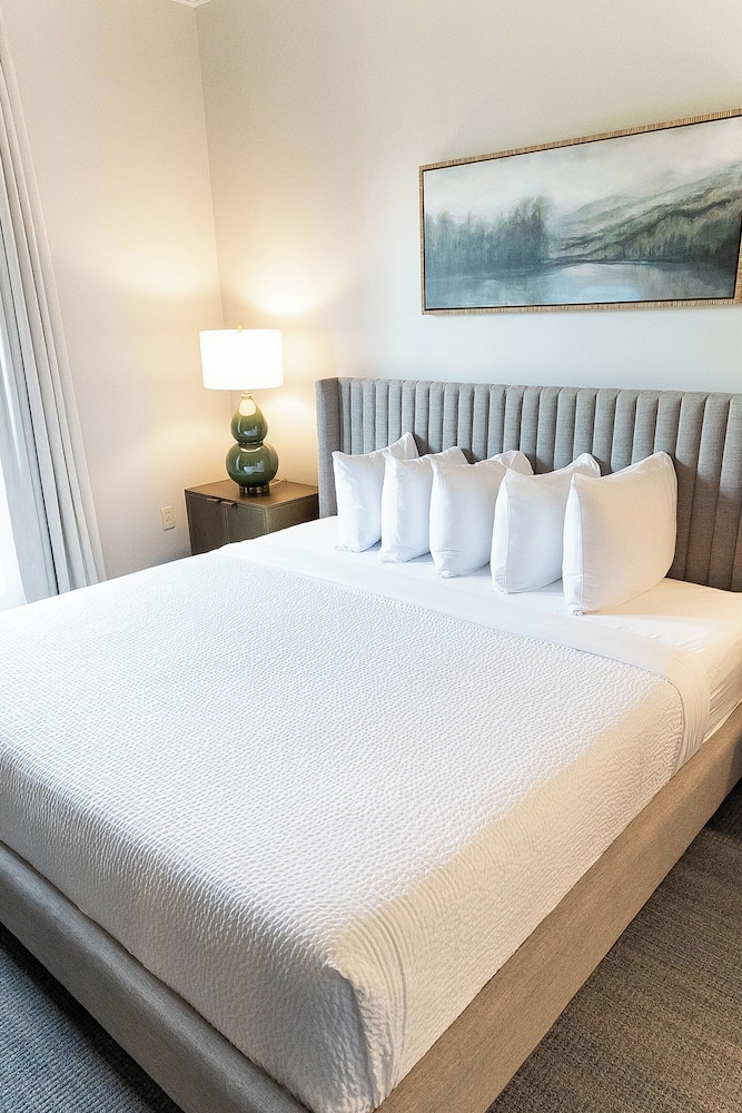 Carriage House Hotel - photo 6