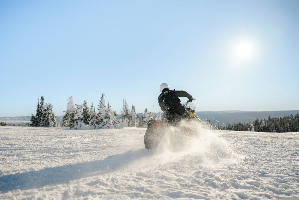 Holiday Inn West Yellowstone by IHG. - photo 118