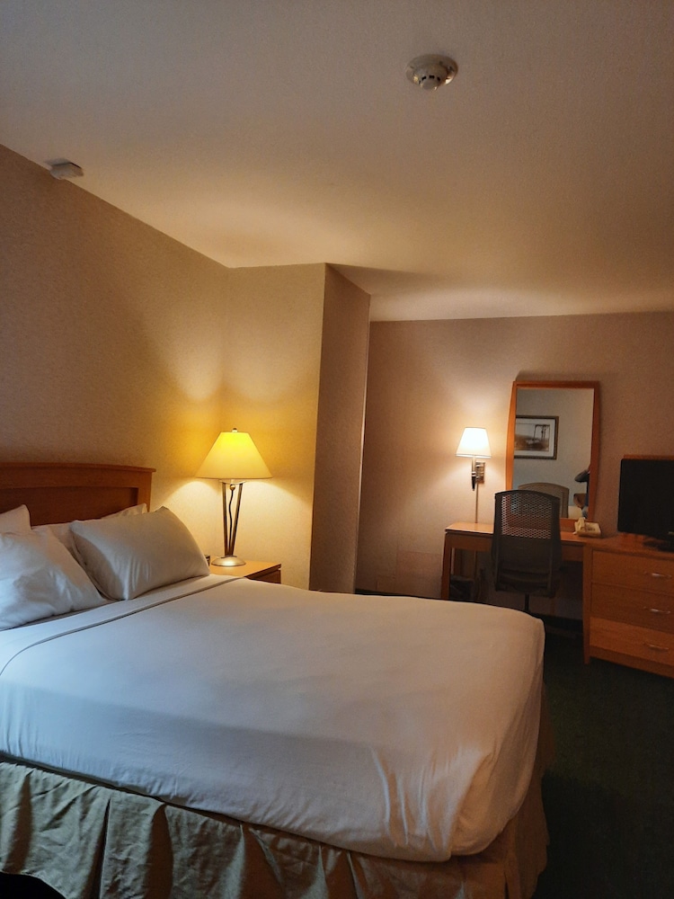RiverTree Inn & Suites - photo 10