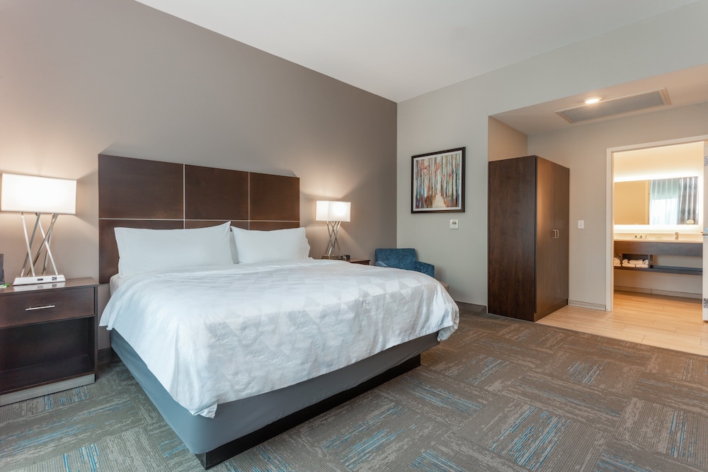 Holiday Inn Hotel & Suites Jefferson City by IHG - photo 6