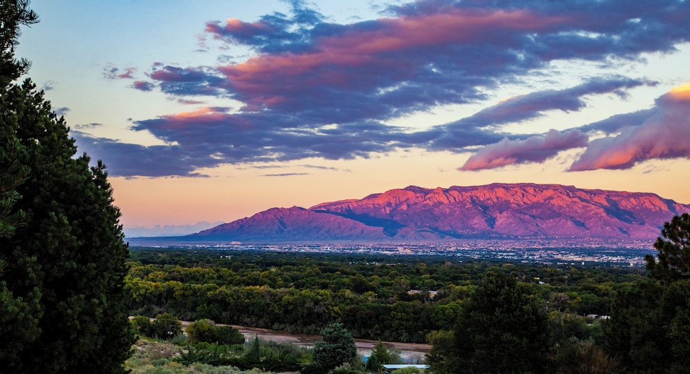 Holiday Inn Express & Suites Albuquerque Historic Old Town by IHG - photo 91