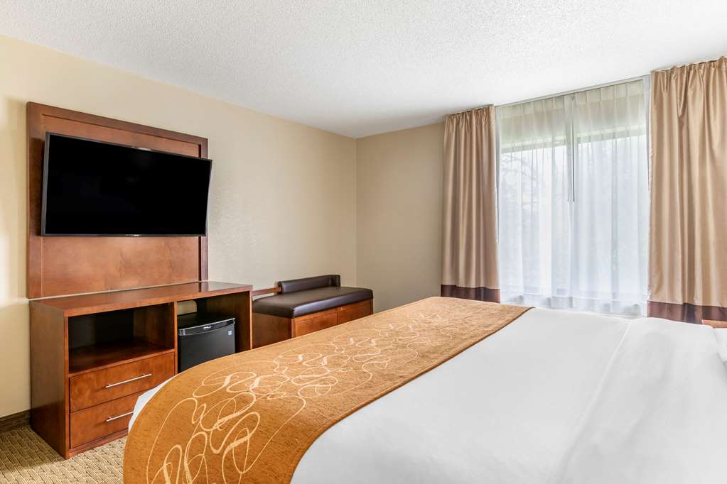 Comfort Suites Grand Rapids North - photo 18