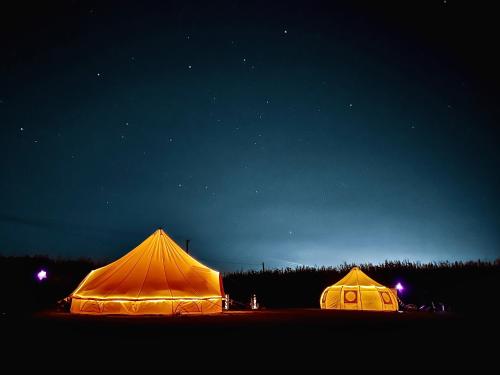 The Follies Glamping in Maidstone, United Kingdom