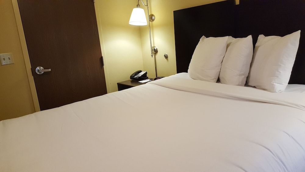Affordable Suites of America Rogers Bentonville - photo 7