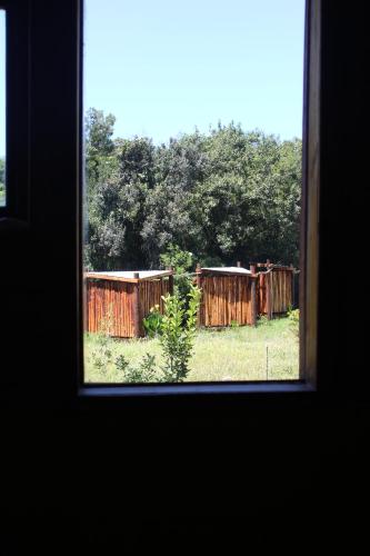 Peace of Eden in Knysna, South Africa