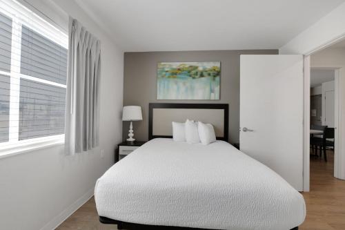 Simplicity At the Rim 1218 I Comfy 3 Bed 2 Bath — 4-Star Luxury Hotel in San Antonio, United States